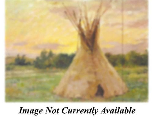 The Old Skin Tepee